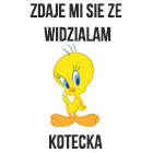 kotecek s.