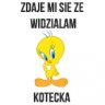 kotecek s.
